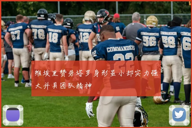 维埃里赞劳塔罗身形虽小却实力强大并具团队精神